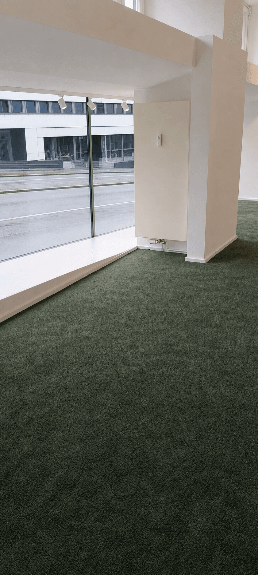 Akustikpaneele in einem hellen Raum mit grünem Teppich